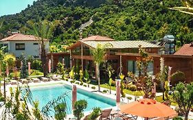 Cirali Hestia Lodge